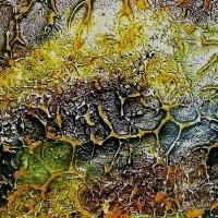 Abstract Artist Diana Farace