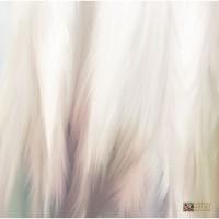 Abstract Art Painting by Abstract Artist Diana Török (Diana Török)