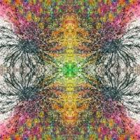 Abstract-Art-Rainbow Artist-Orlando-L-8
